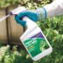 Poison Ivy & Oak Killer Spray- Bonide – 32 oz